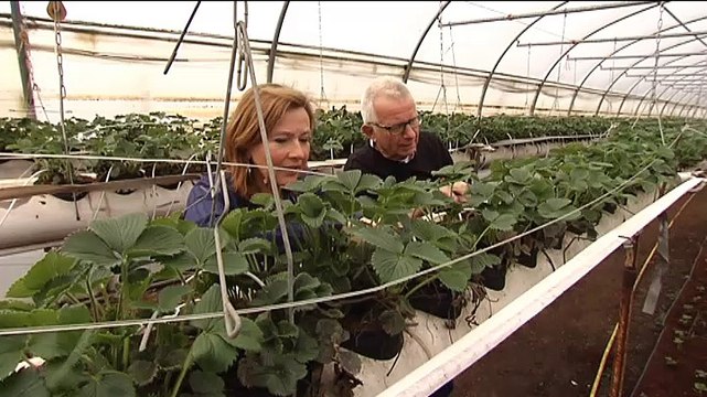 Boer Geert: Dat snoetje, dat toetje. - RTV Noord