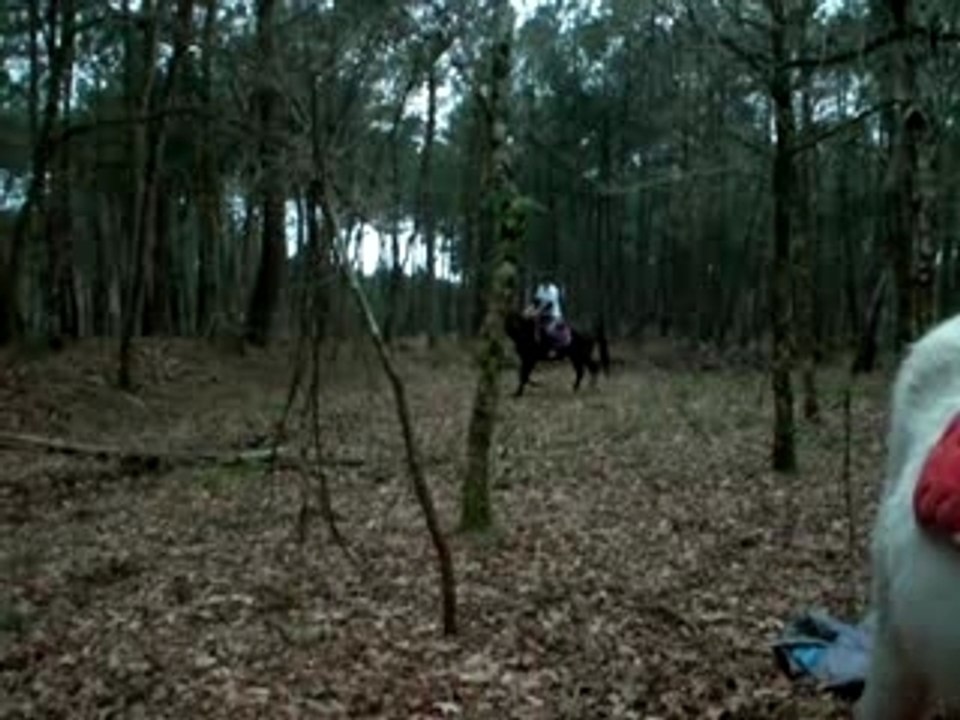 méga chute