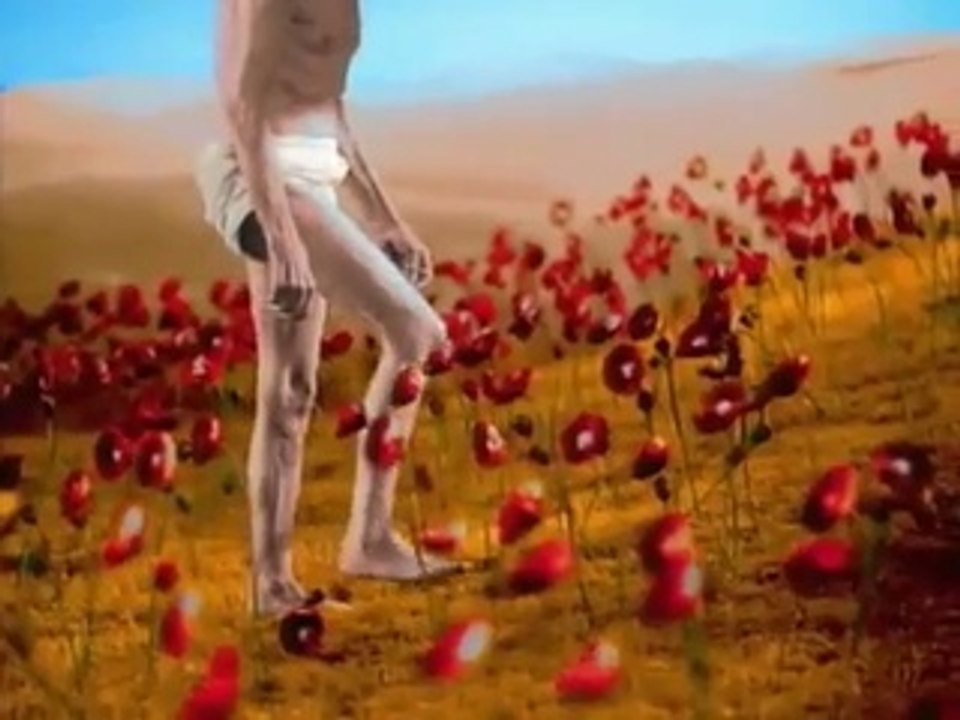 Nirvana estrena video, ¡sí! Estrena video