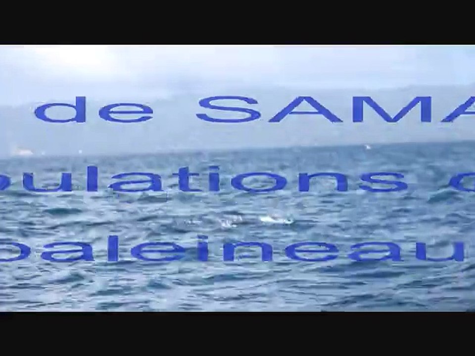 repdom baleines mars15