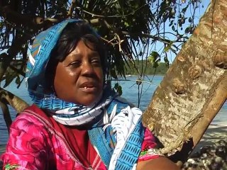 Trois perles océan indien