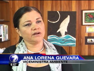 Este año, la EcoRomería estará a cargo de la Cruz Roja