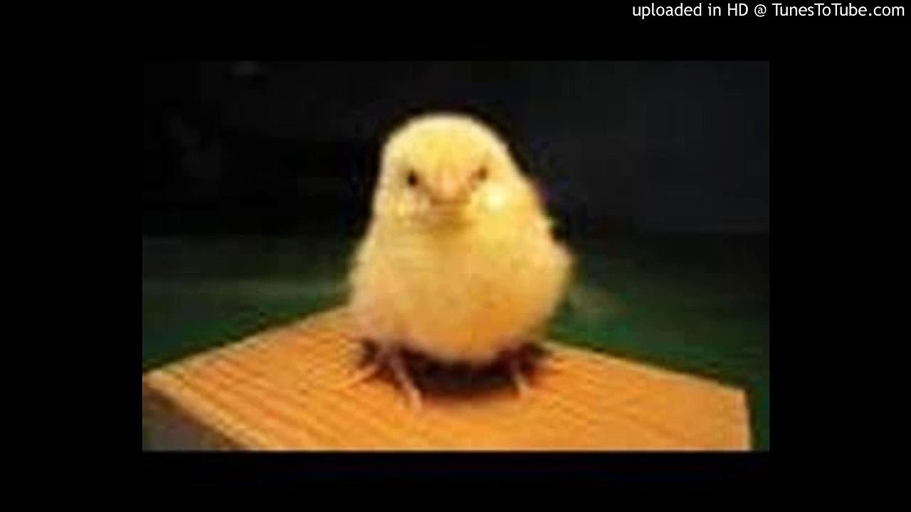 Unforgettable/アンフォゲッタブル/Irving Gordon/Nat King Cole/Natalie Cole/ピアノ 高橋丈太郎