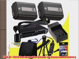 TWO NPFW50 Rechargeable Lithium Ion Replacement Battery w/External Rapid Charger   Mini HDMI