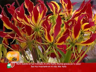 Ideas para regalar en este día de San Valentín