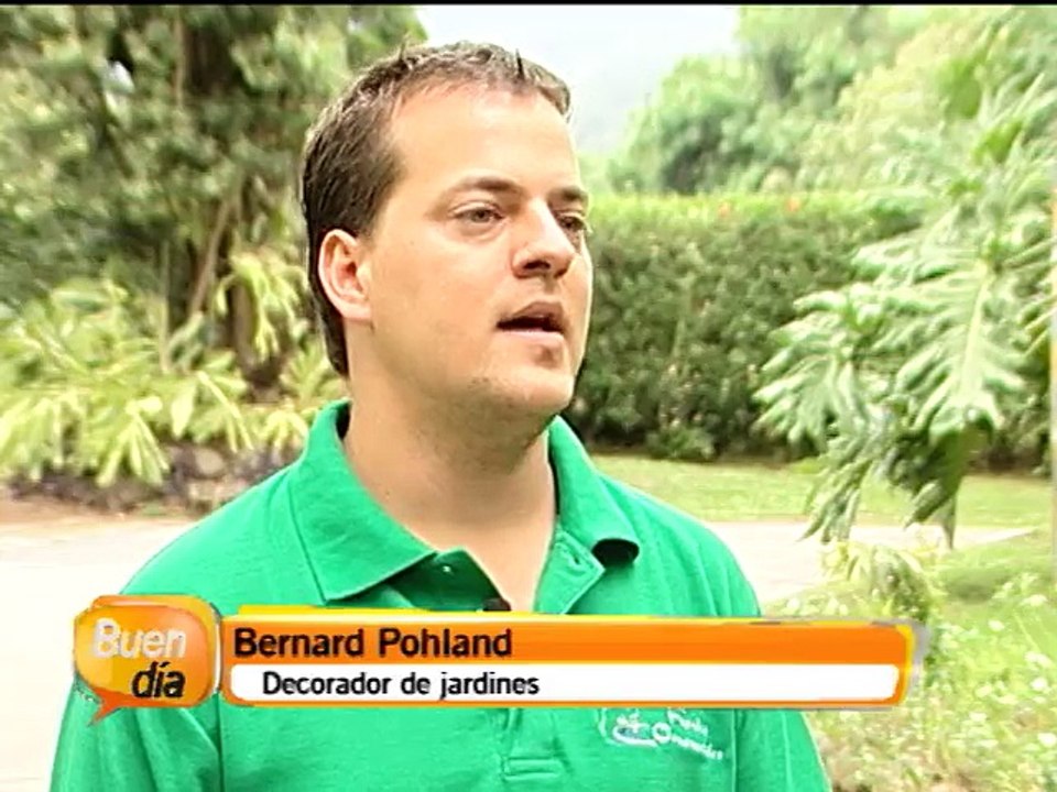 Elimine los charcos en el jardín de forma creativa
