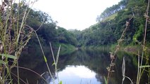 Marcelo Ambrogi, Natureza Indômita, Rio Paraibuna, Mergulhos Sub-aquáticos, Onças, Aranhas, Peixes, Serra do Mar, (2)