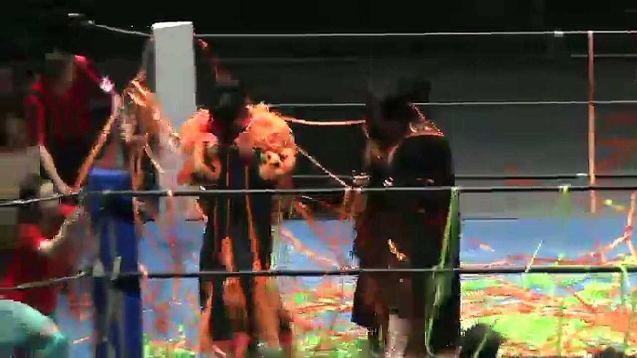{Ice Ribbon} Arisa Nakajima & Hamuko Hoshi Vs. Aoi Kizuki & Kayoko Haruyama (3/21/15)