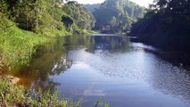 Marcelo Ambrogi, Natureza Indômita, Rio Paraibuna, Mergulhos Sub-aquáticos, Onças, Aranhas, Peixes, Serra do Mar, (6)