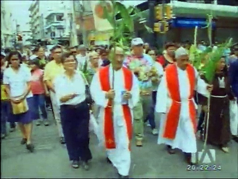 Desarrollan camapaña para evitar venta de la palma de cera en Guayaquil