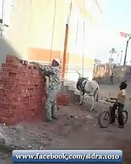 JUGARR LAGA LAY ZARA - DESI PAKISTANI SCIENTIFIC PEOPLE -