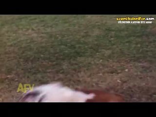 Kompresör İle Korku Filmlerindeki Yaratıklara Dönüşen...