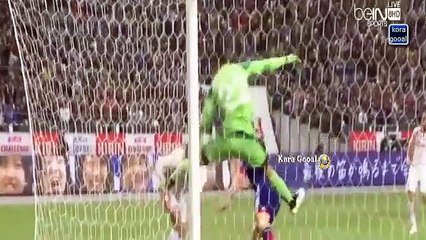 Tunisie vs Japon 0-2 tous buts complet 2015  HD