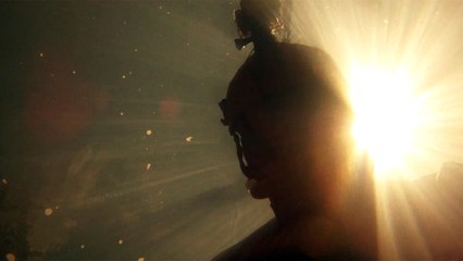 Marcelo Ambrogi, Natureza Indômita, Rio Paraibuna, Mergulhos Sub-aquáticos, Onças, Aranhas, Peixes, Serra do Mar, (32)