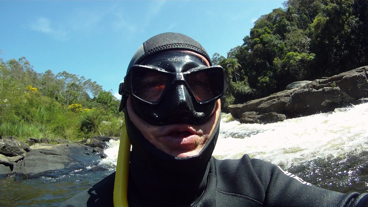 Marcelo Ambrogi, Natureza Indômita, Rio Paraibuna, Mergulhos Sub-aquáticos, Onças, Aranhas, Peixes, Serra do Mar, (74)