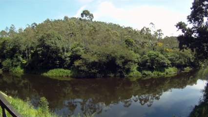 Marcelo Ambrogi, Natureza Indômita, Rio Paraibuna, Mergulhos Sub-aquáticos, Onças, Aranhas, Peixes, Serra do Mar, (79)