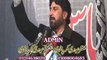Zakir Mushtaq Hussain Shaha Jhang Chailam Allama Nasir Abbas Shaheed 17 Janv 2014 Multan
