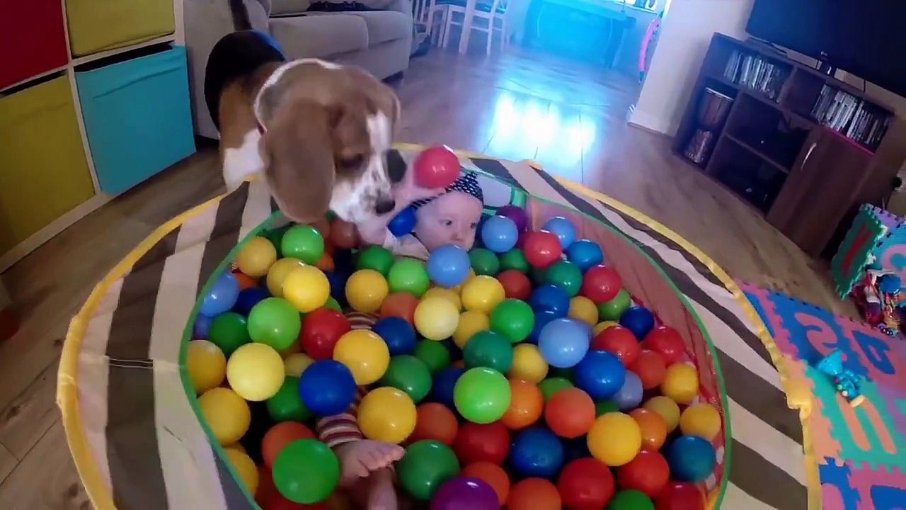 Dogs Are the Best Babysitters!