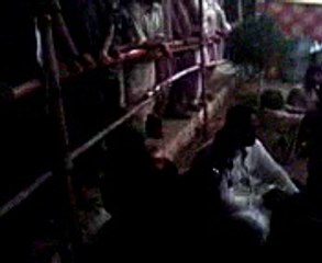 Musical Instruments at Madhu Shrine