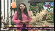 Naheed Ansari Show 28th March 2015