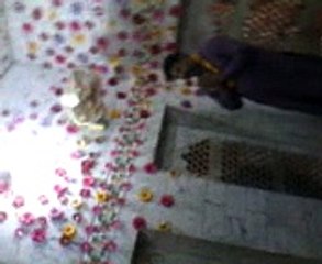 Madhu LAL Shrine Chadhar Changing