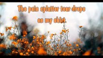 KARAOKE ED SHEERAN - Give me love