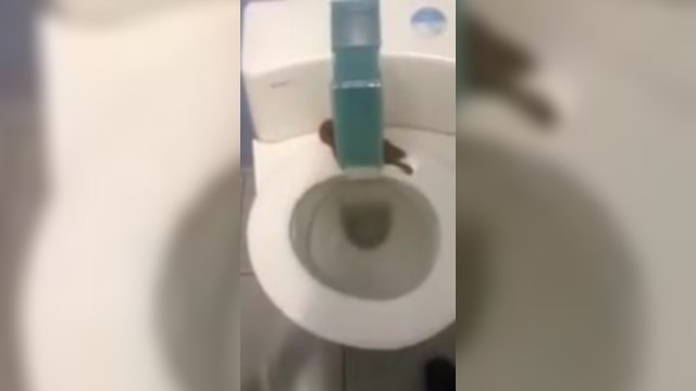 Les incroyables toilettes publiques qui s'auto-nettoient