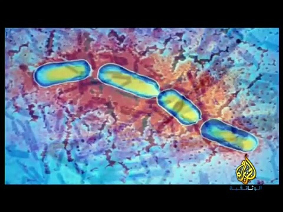 المستحلبات الصناعية _ E - الحلقة 2