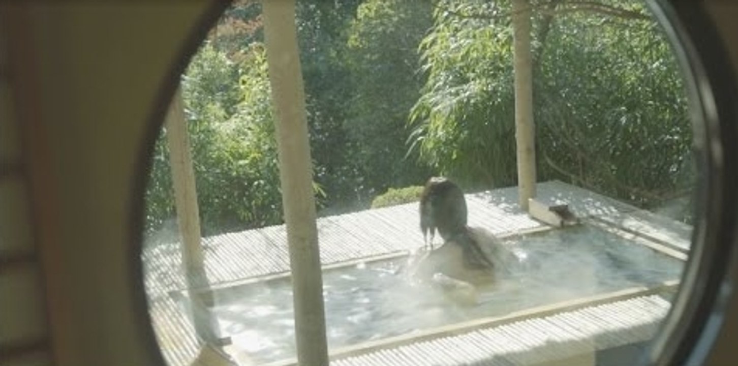 Les publicités WTF qu'on ne trouve qu'au Japon