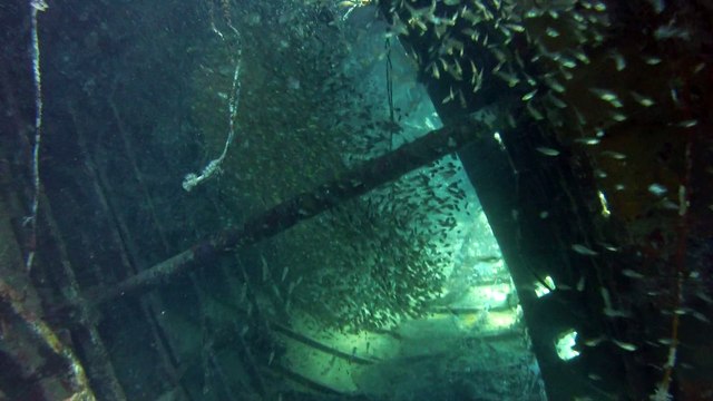 Plongée Egypte (épave) - juillet 2012