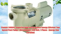 Pentair 340042 SuperFlo High Performance Energy Efficient Two Speed Pool Pump 1 Horsepower