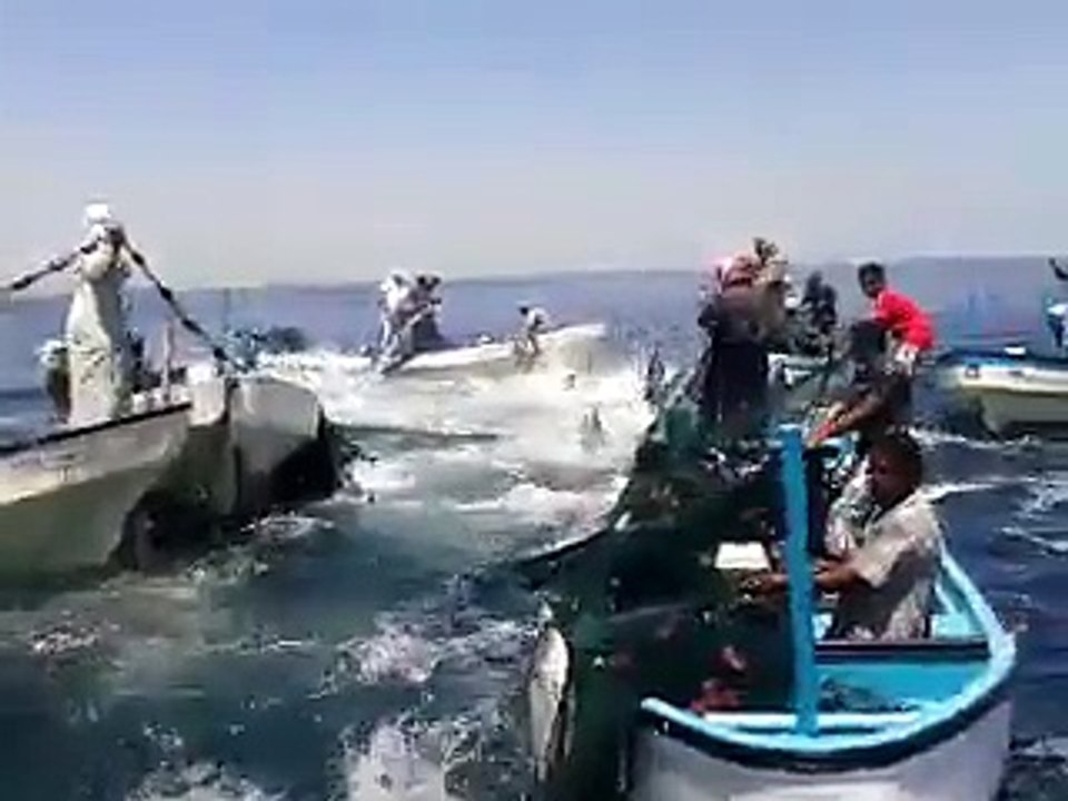 YERYÜZÜ HABER-BALIKLARIN HAVADA UÇUŞU!