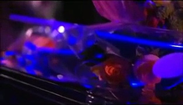 Mireille Mathieu - La Vie en Rose (Concert Live)