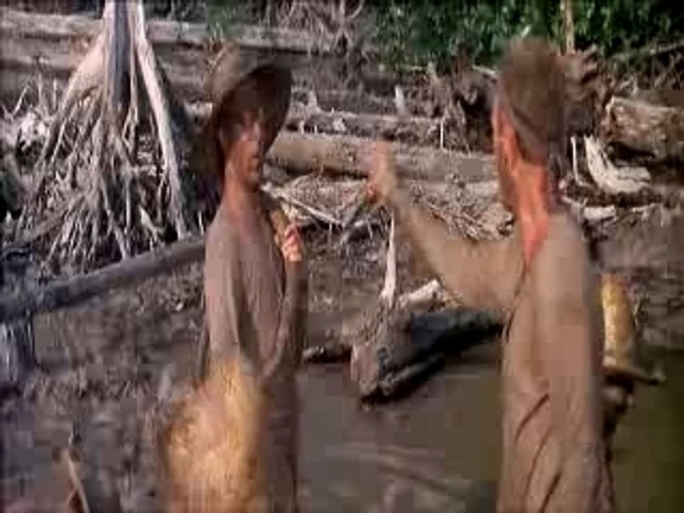 papillon (1973)