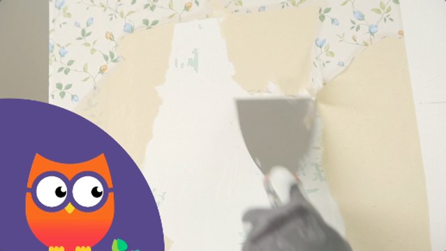 Comment décoller du papier peint (Ooreka.fr)