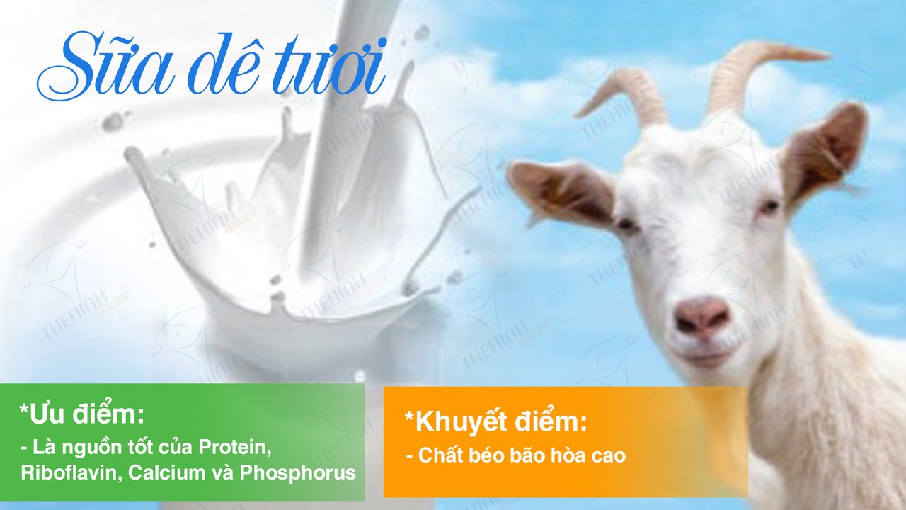 Giá trị dinh dưỡng của sữa dê tươi nguyên chất, thực phẩm sữa giàu đạm