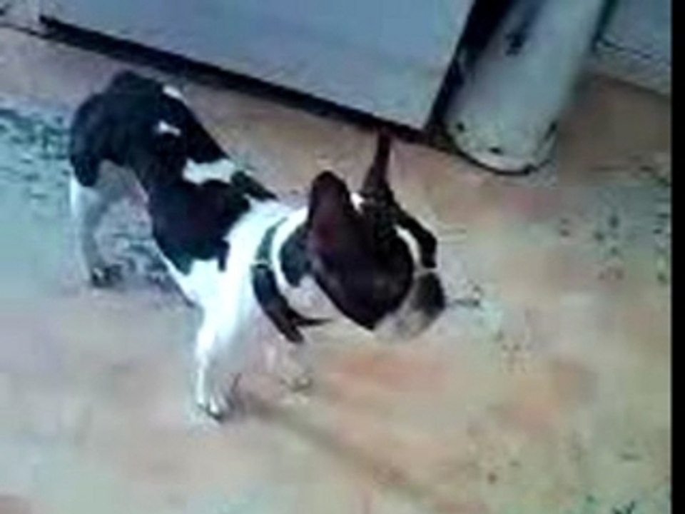 mamie elle fait des noeufs