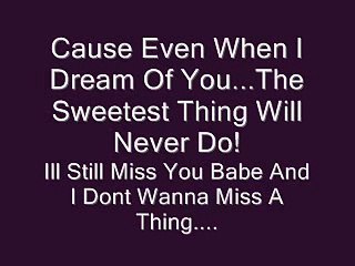 I Dont Wanna Miss A Thing