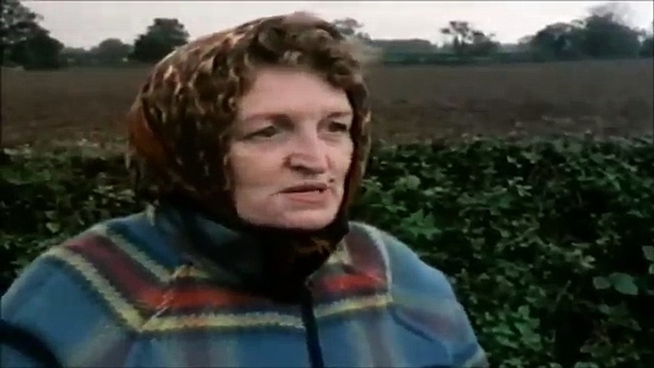 Encounter - Nordic Aliens & Spacecraft