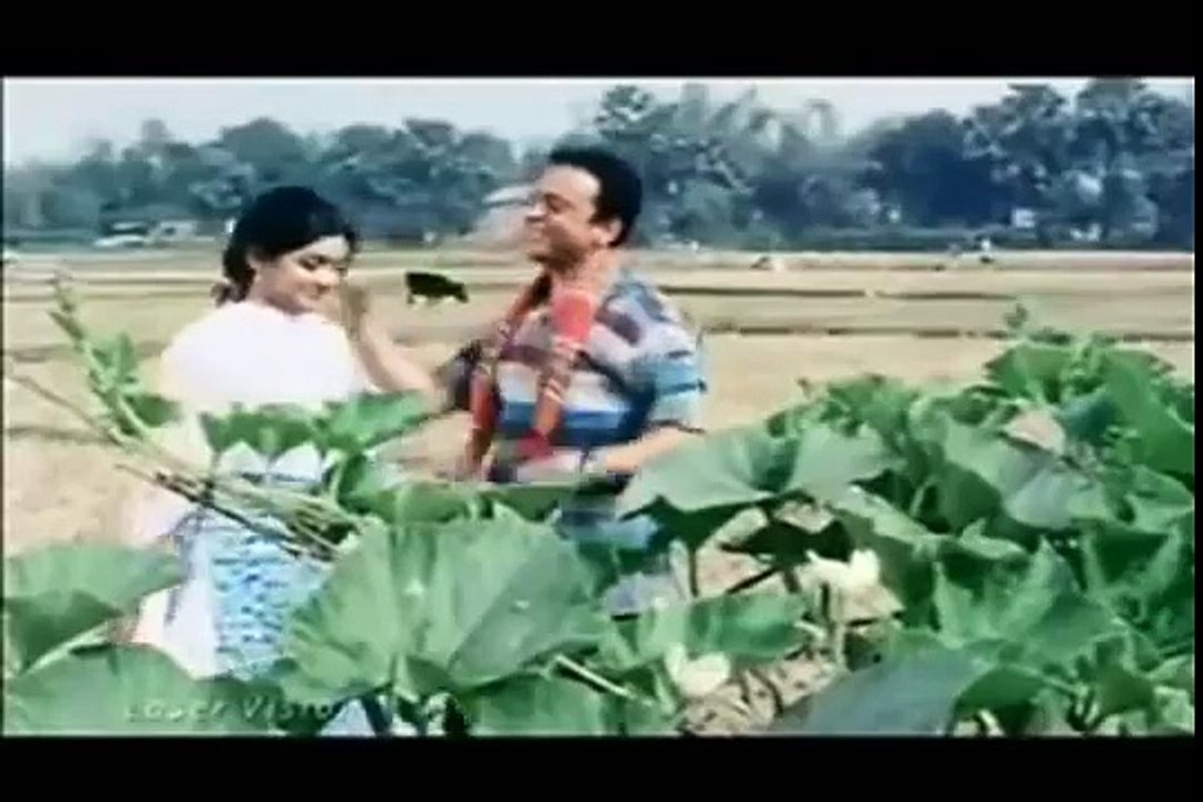 Tomare Dekhilo Paraano Bhoriya - Chondrogrohon (habib Feat Nancy) bangla song Bengali gaan bangladeshi songs 2015