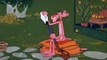 027 - Pink Panther - Pink Posies