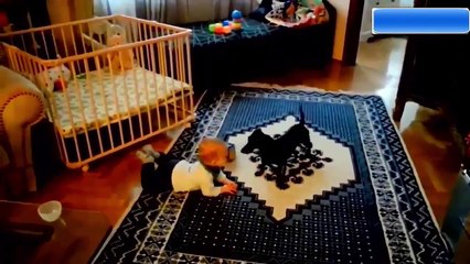 xXx Baby Funny Baby Funny Baby And Dog Funny Animals Videos