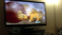 Dog Loves Lion King - Funny Videos