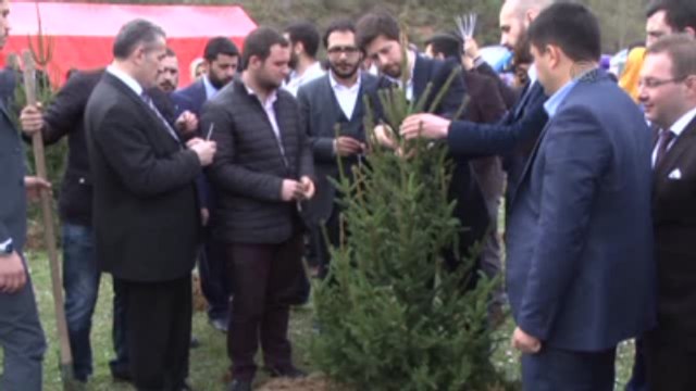 Mısır'da Haklarında İdam Kararı Verilen 183 Müslüman İçin Fidan Dikimi