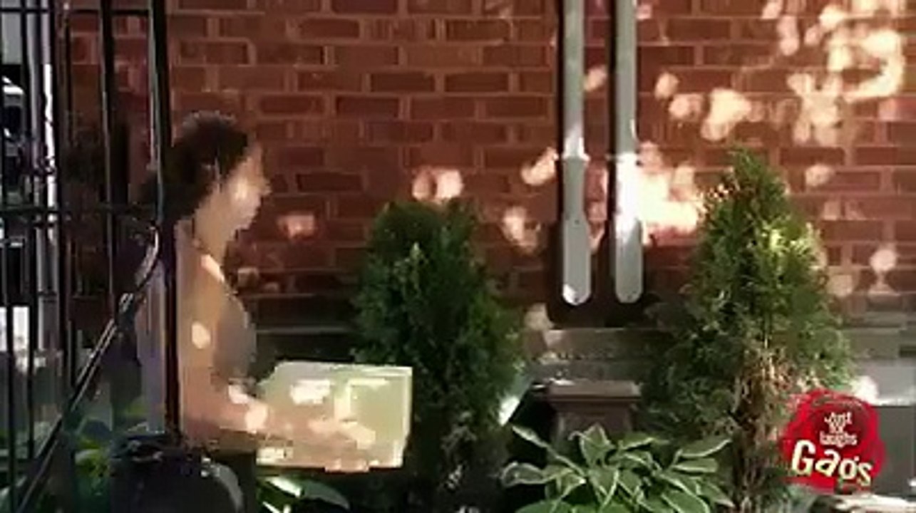 funny clip