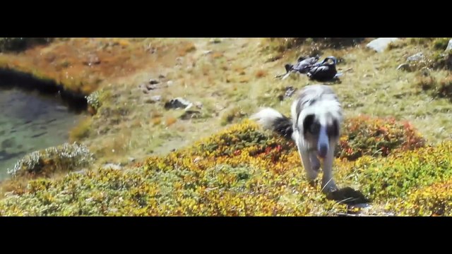 Séquence Printemps-automne