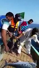 Charna Island WORLD OCEAN CENTRE