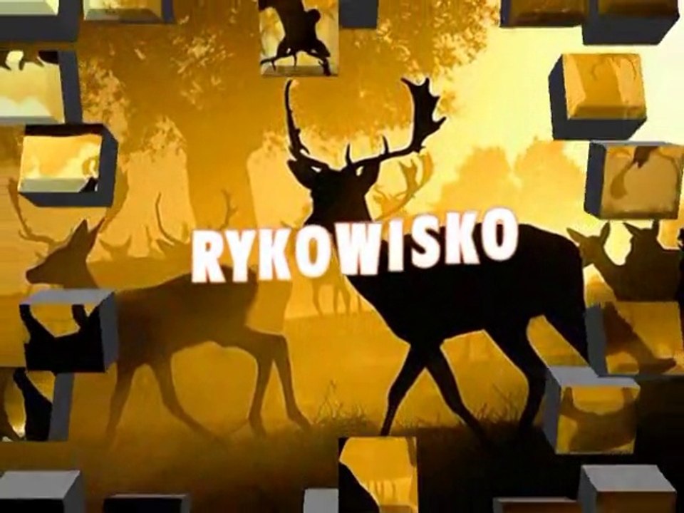 rykwisko.movie