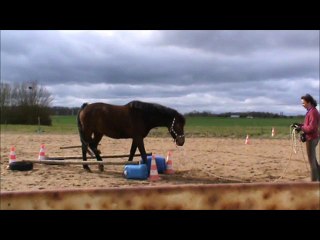 Variations autour d'une bordure maraîchère, Volt, mars 2015