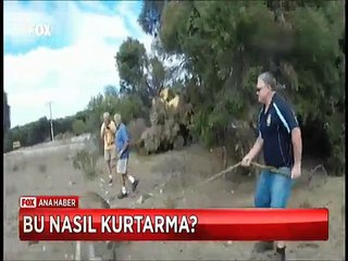 Kafası su kovasına sıkışan Kangruyu kurtarmak isterken az daha öldüreceklerdi